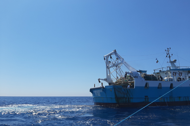 Granchio blu Coldiretti chiede un Commissario straordinario per fronteggiare l'emergenza - pescatori di mazara
